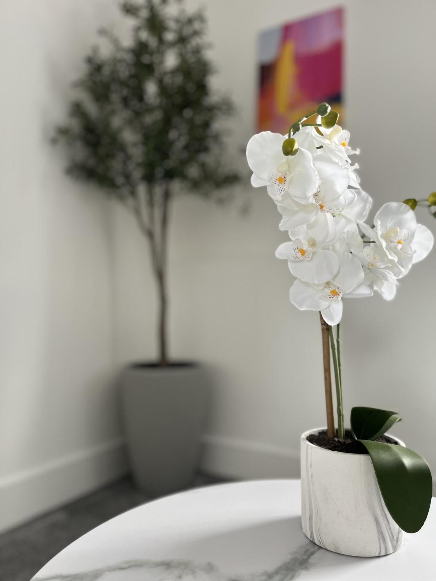 Luxury Norwich City Centre Apartment - Free Parking Kültér fotó